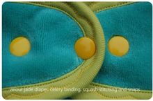 Ready to Ship ~Medium Hand dyed Fitted Cloth Diaper